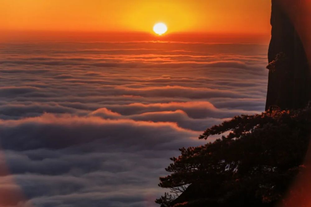 诗词丨那些藏在诗词里的日出惊艳绝美