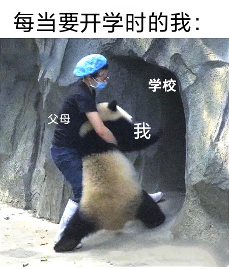 搞笑人间真实来自上学人的真实系列我怀疑你在我身上安了个摄像头