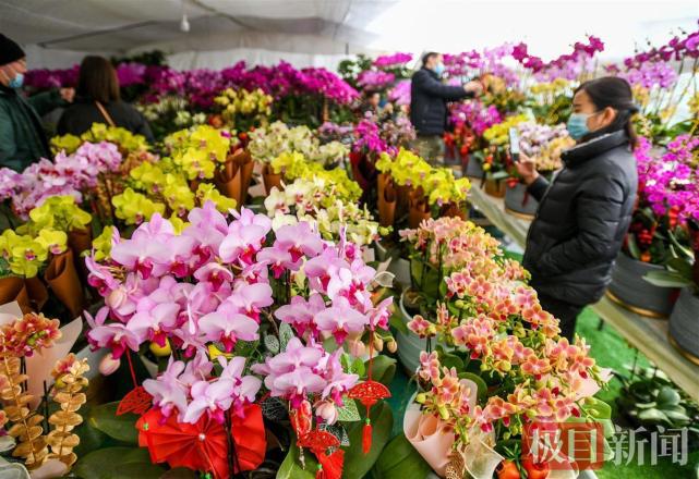 武汉花博园位于武汉市江夏区五里界街道梁子湖大道100号,是以花卉苗木