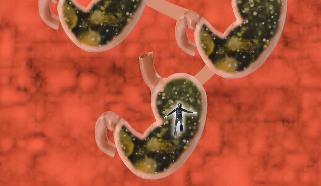 鲸鱼喜欢吞人被鲸鱼吞了还能活吗被骗多年终于知道了