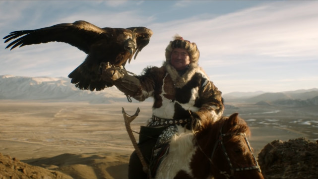 实拍蒙古猎鹰捕猎全过程驯鹰师一声令下过程惊心动魄