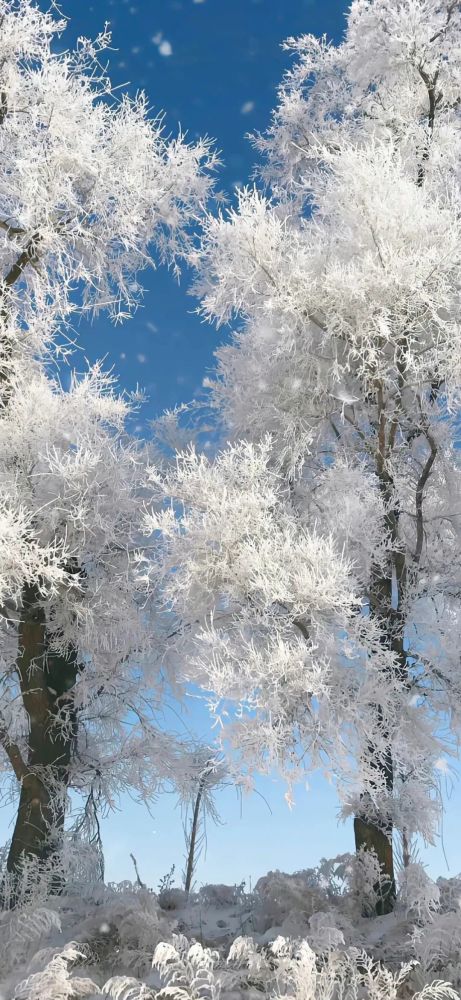 壁紙雪景唯美小眾