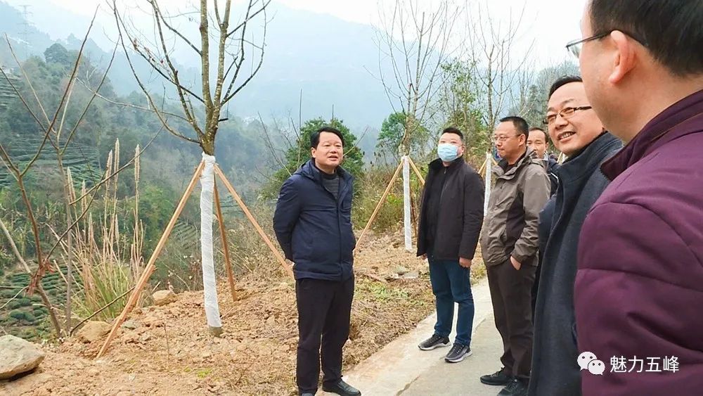 邓红静在巡河时强调要加强河道治理和环境保护 形成