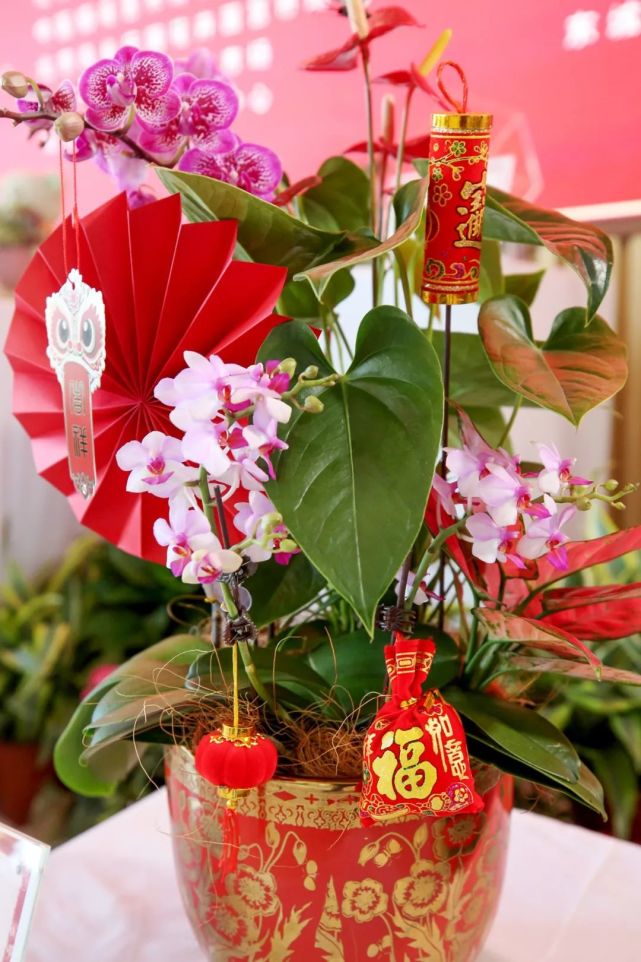 福利缤纷年宵花陪您过大年