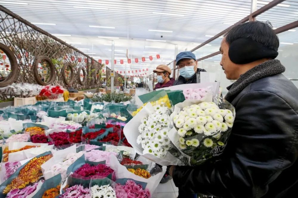 年宵花展在北京花卉交易中心,北京花鄉花卉創意園,北京花鄉花卉嘉年華