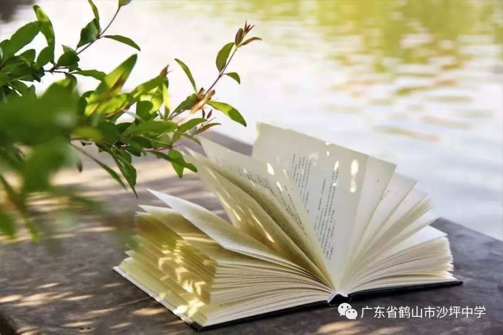 2022年邑起阅读王建波梁延枫九(7)班三等奖易志芳梁棋{九(4)班三等奖