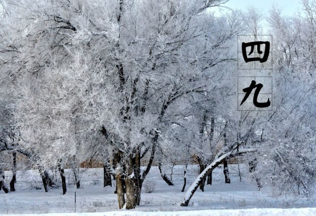 从17日开始将进入"四九"寒天,四九天同样也是一年之中最寒冷的时段之