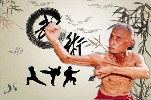 top 2 万籁声蔡龙云山东济宁人,自幼生活在武术世家,其父也是名震山东