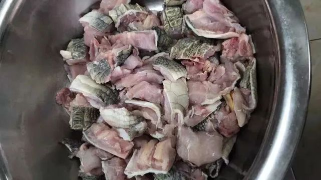 泰國人因豬肉漲價改吃鱷魚肉便宜美味做法多