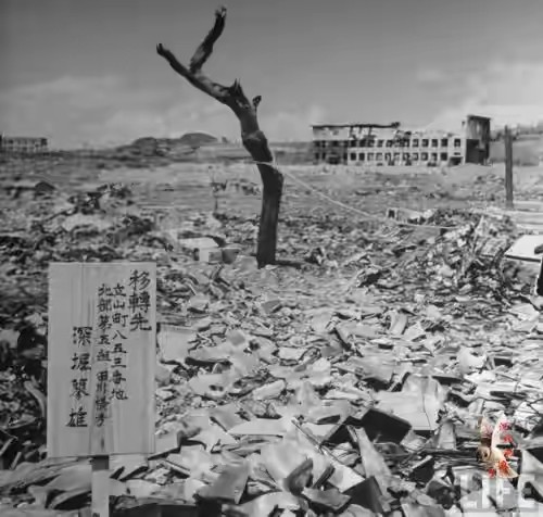 全球唯二被原子弹炸过的城市广岛和长崎现在发展得怎么样了