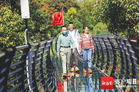 依托热带雨林文化琼中百花岭搅热海南中部旅游市场 腾讯新闻