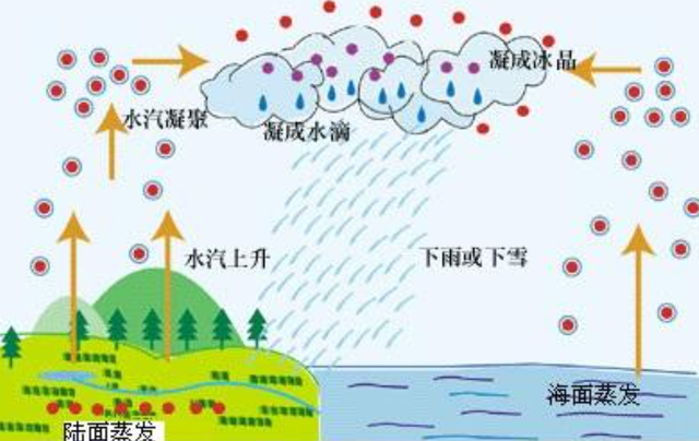 有水蒸氣遇到冷空氣後液化形成的小雨珠,也有溫度太低凝華成的小冰晶