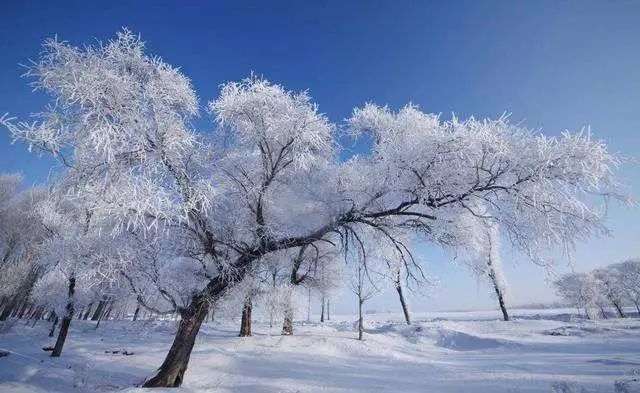 雪落,是一場夢的翩躚