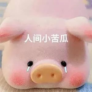 表情包人间小苦瓜