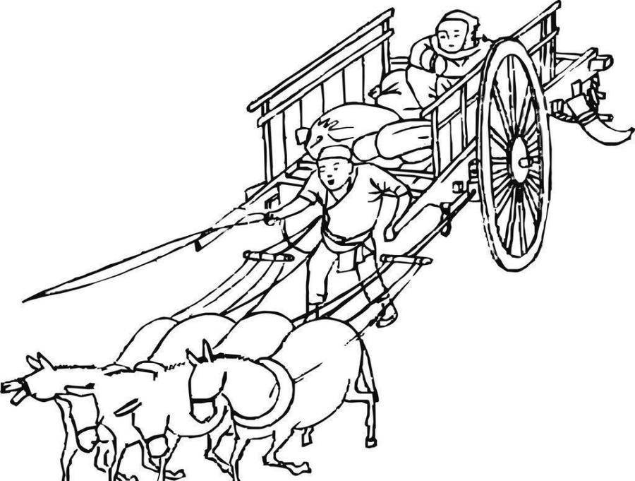 当代散文家乡的骡子