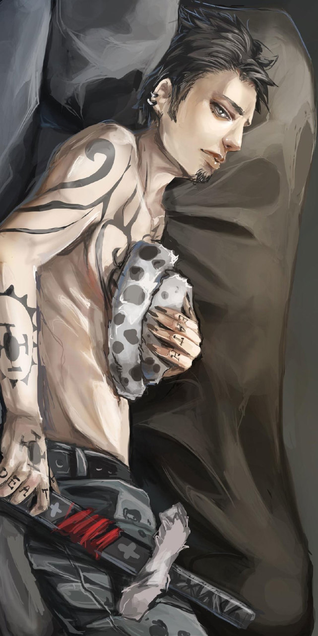 动漫壁纸海贼王炎灾烬手机壁纸灭绝了的种族