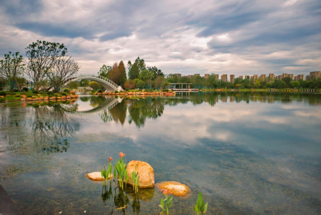 丰收湖公园荣获"浙江省优质综合公园"称号