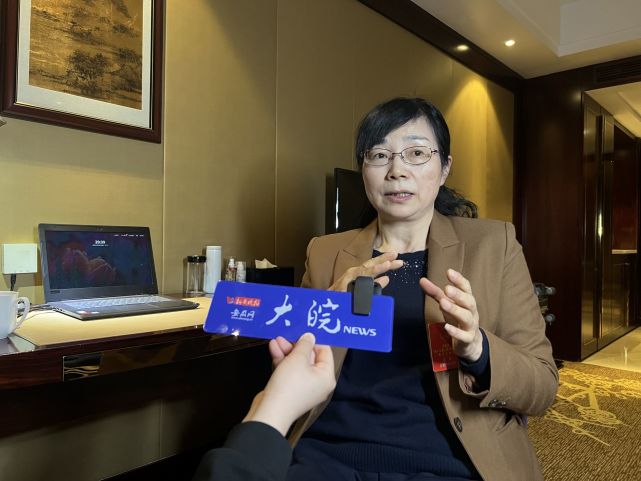 省人大代表合肥师范附小教育集团理事长张红加快修订安徽省预防未成年