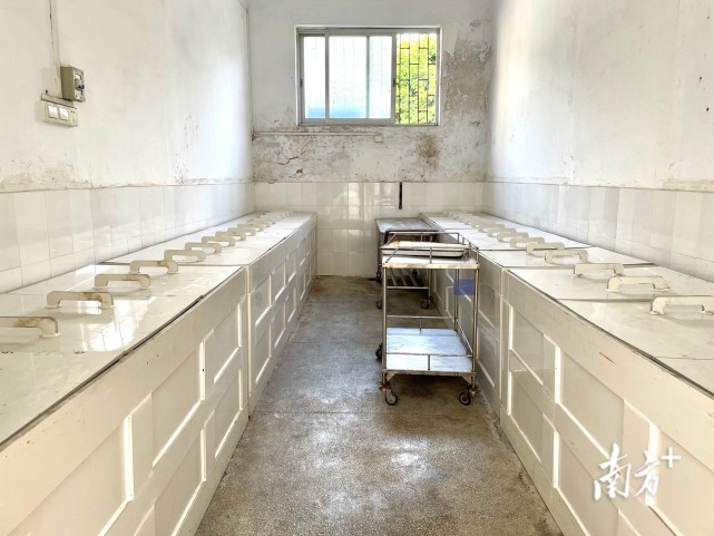 大体老师以生命点亮生命