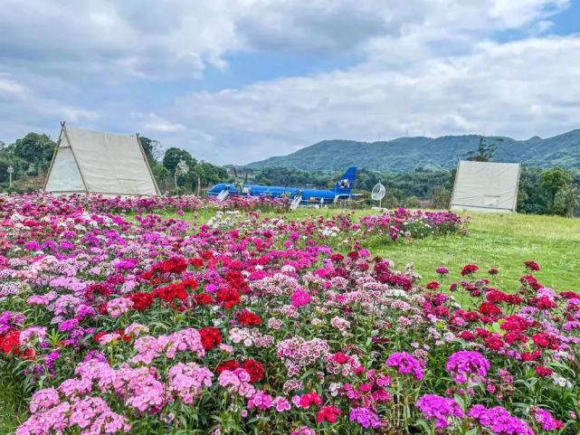 門票免費送瀘州龍湖水香春節動物旅遊節1月27日盛大開幕