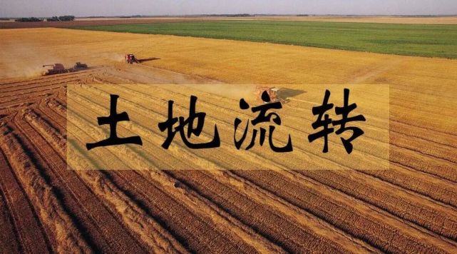 雄安出台的这个意见事关农村承包土地的大问题你懂得