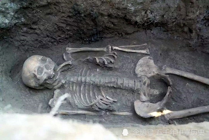 内蒙古发现神秘石板墓出土身份特殊女性遗骸嘴里竟叼着根肋骨