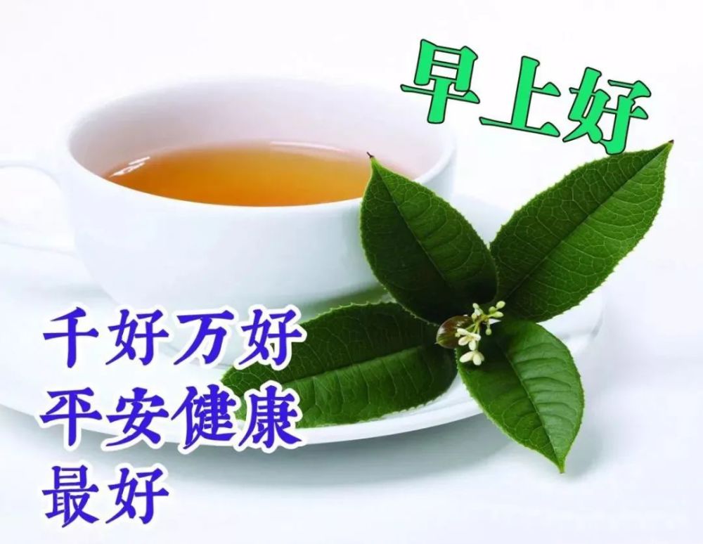 最新版早上好2022表情图片漂亮好看,最新版早上好暖心问候祝福语阳光