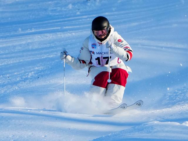 自由式滑雪雪上技巧項目英文名為