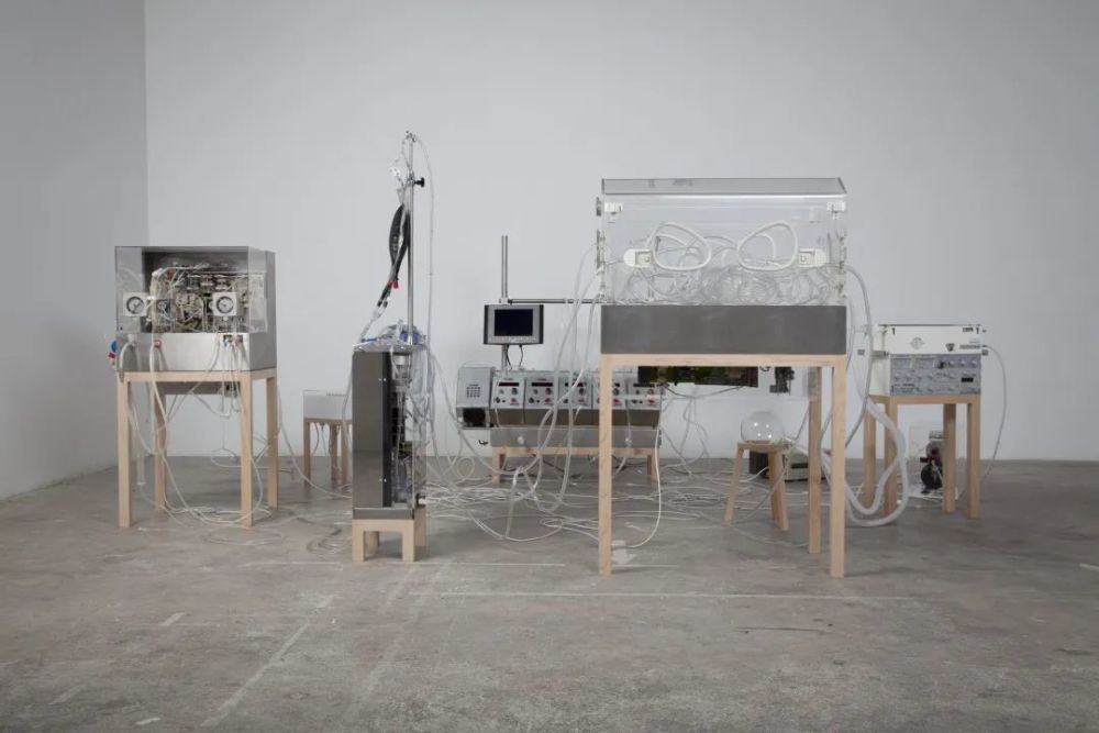 而艺术家雷维托·科恩与图尔·范·巴伦的作品《不朽(2012)和琳恩