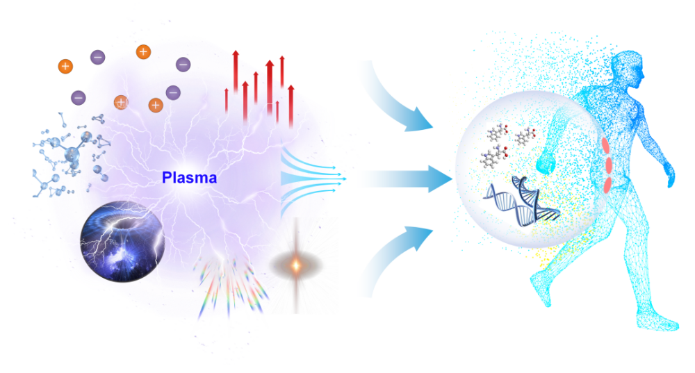 大气压冷等离子体与处理过的生物靶标 (细胞) 之间复杂的相互作用示意