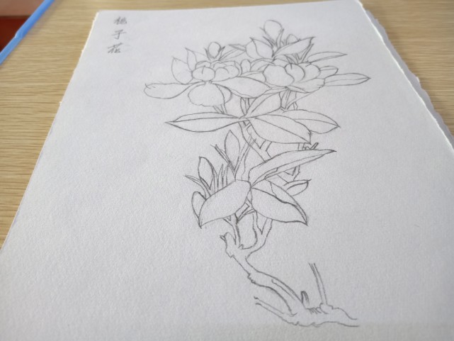 手绘素描花图