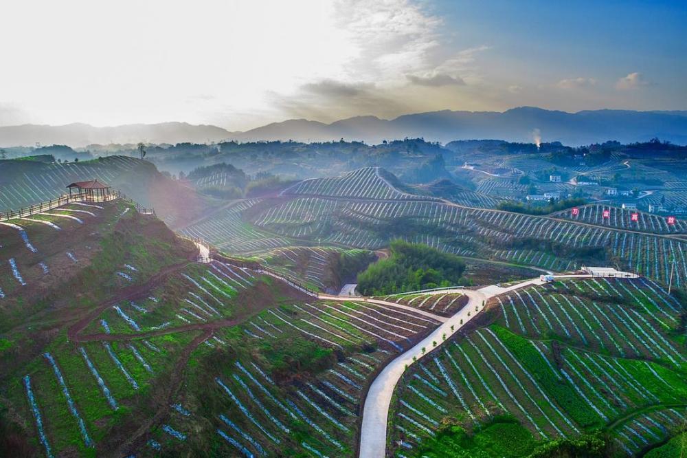 扬帆奋进谱新篇大竹县2021年经济社会发展侧记