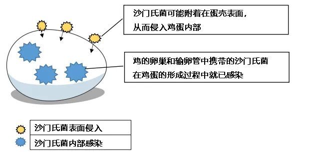 纽约亚裔女子被推下地铁致死，凶手被捕后称：我是“上帝”提升气质轻松增高3-5cm