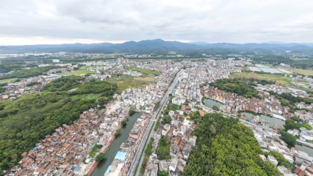 新桥镇赤坎村强产业优人居美丽乡村再出发