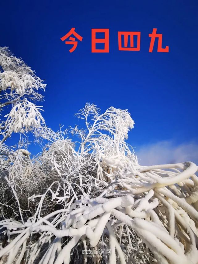 17日是农历四九