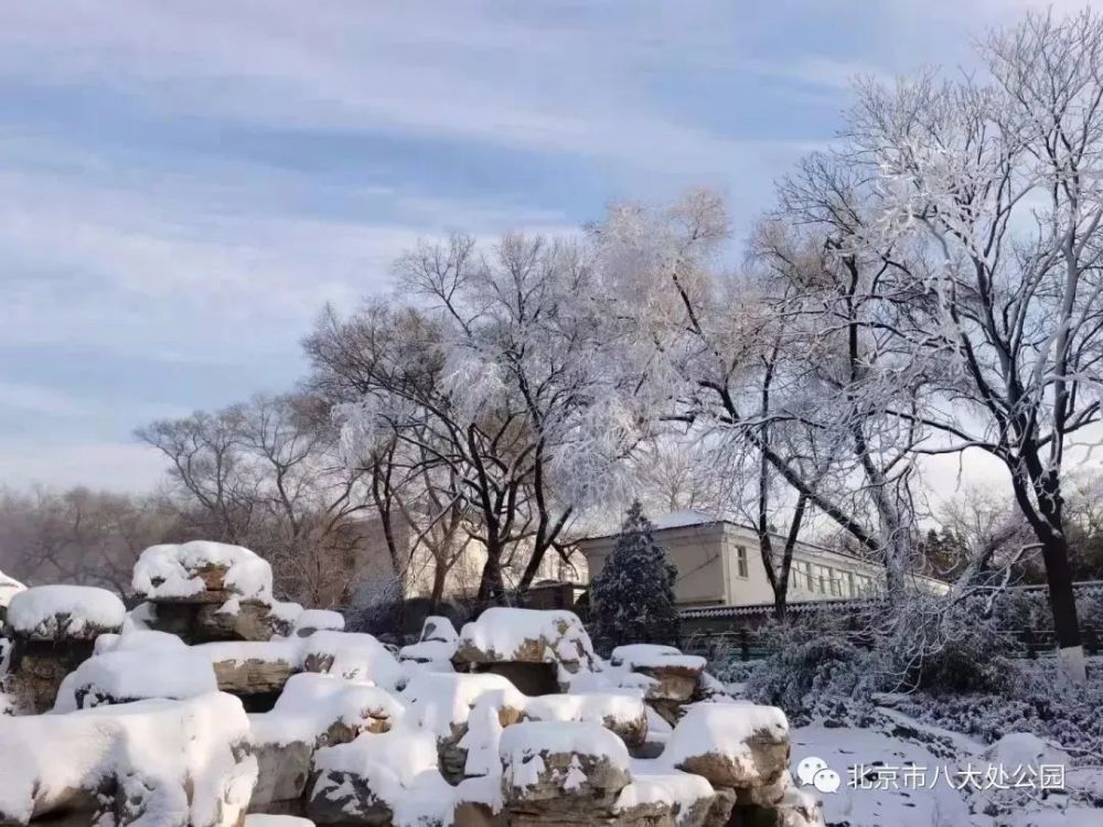 八大处雪景图片