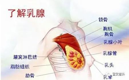 乳果遇到他