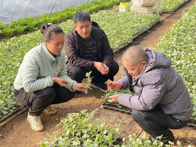 泗水县东涧沟李安营图片