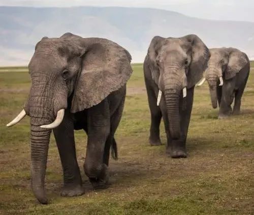 经济管理学书籍排行榜_2020上半年,不容错过的10本经管好书!