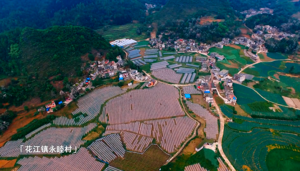 宜居乡村美丽家园关岭永睦村产业支撑美了乡村富了民