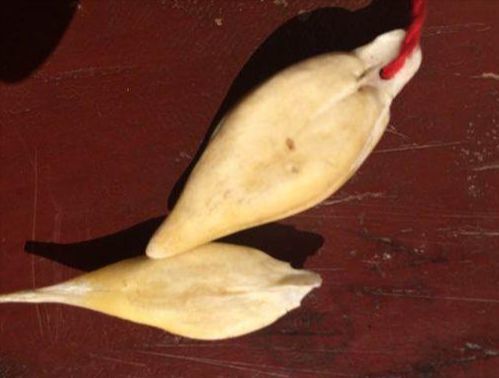 吃鱼还能吃出宝贝据说价值上百万专家鉴定直呼不相信