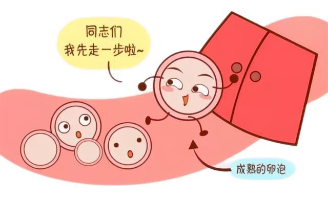 试管婴儿促排卵获卵很少的原因