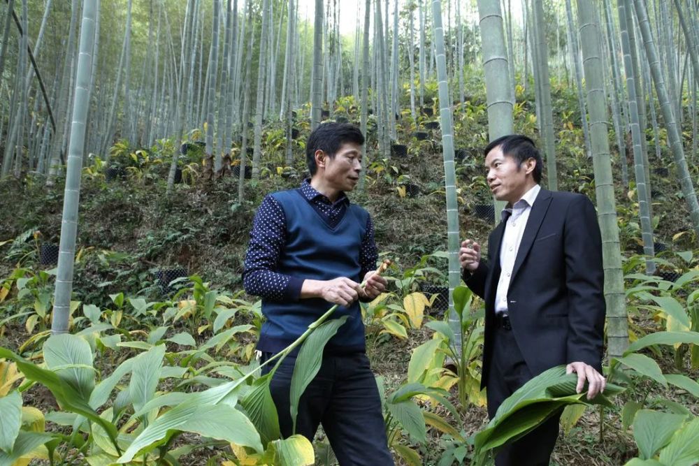 福建省林业系统"劳模风采" |范小明_腾讯新闻