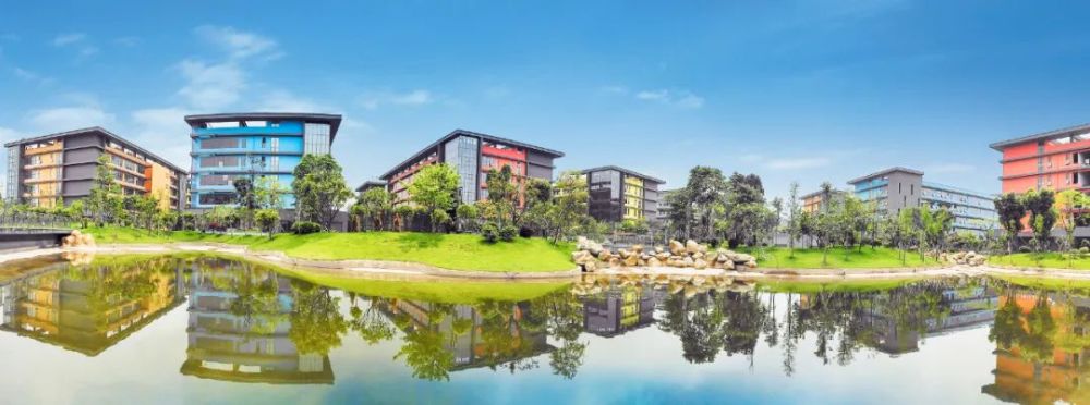 电子科技大学(深圳)高等研究院执行院长汤志伟告诉《t望东方周刊》:"