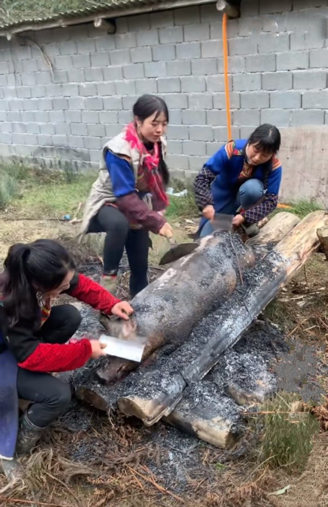 用茅草焚燒豬身農具刮毛彝族姑娘與眾不同的殺豬方式