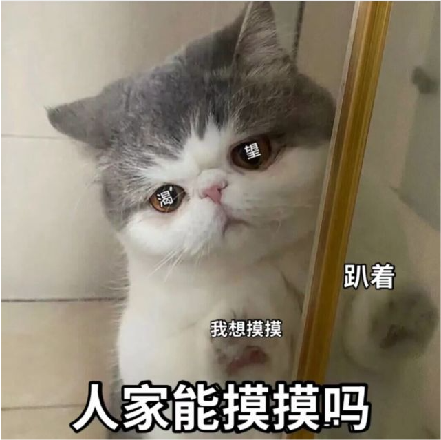 撩对象的沙雕表情包