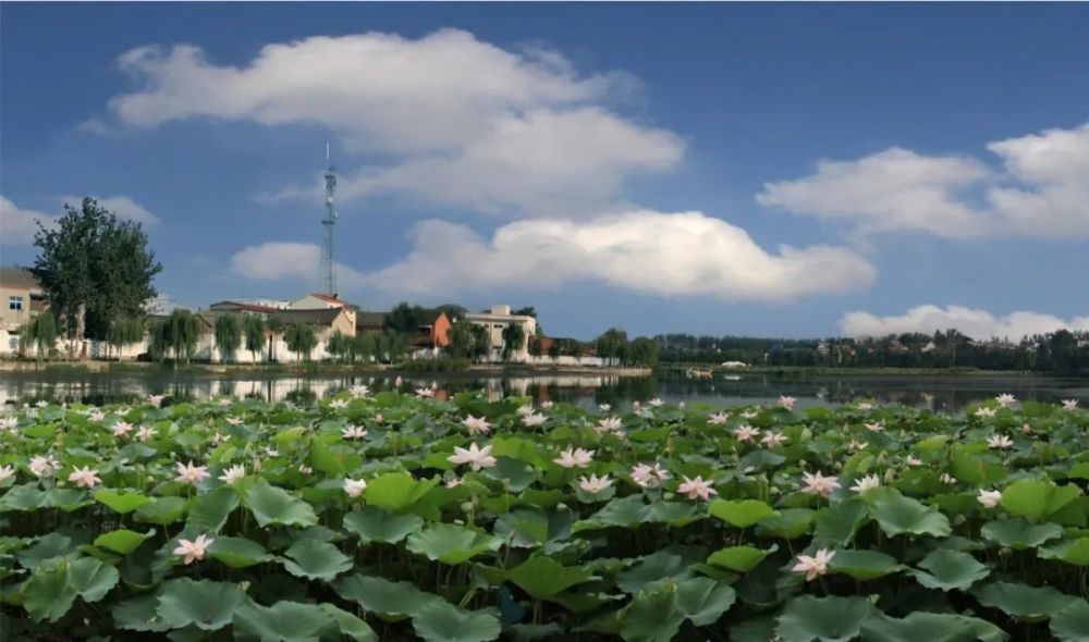 沁陽八景名稱揭曉