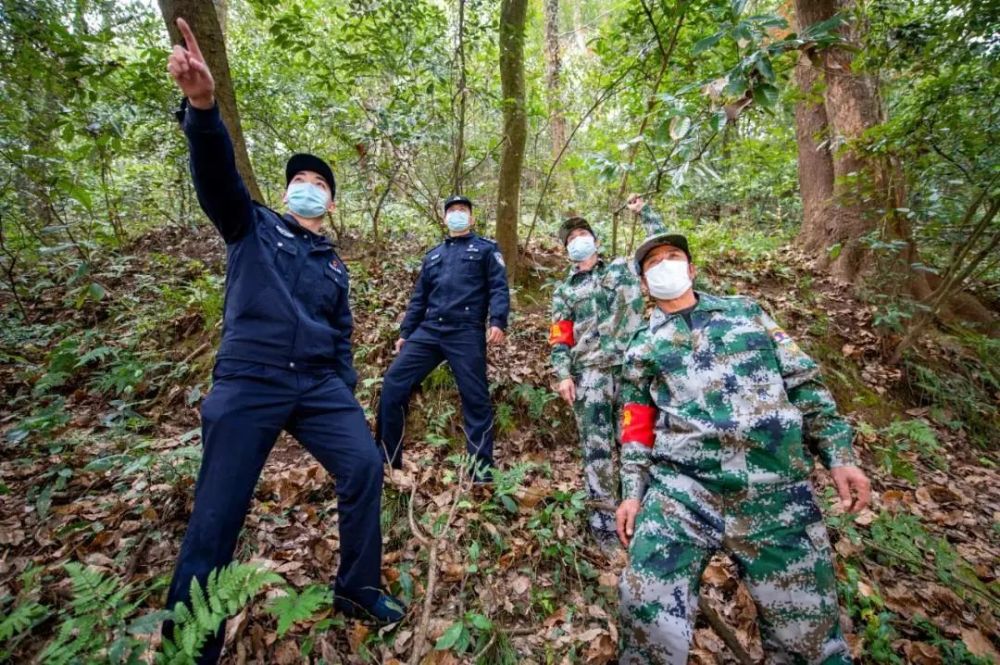 金华九百多名林区警长巡山