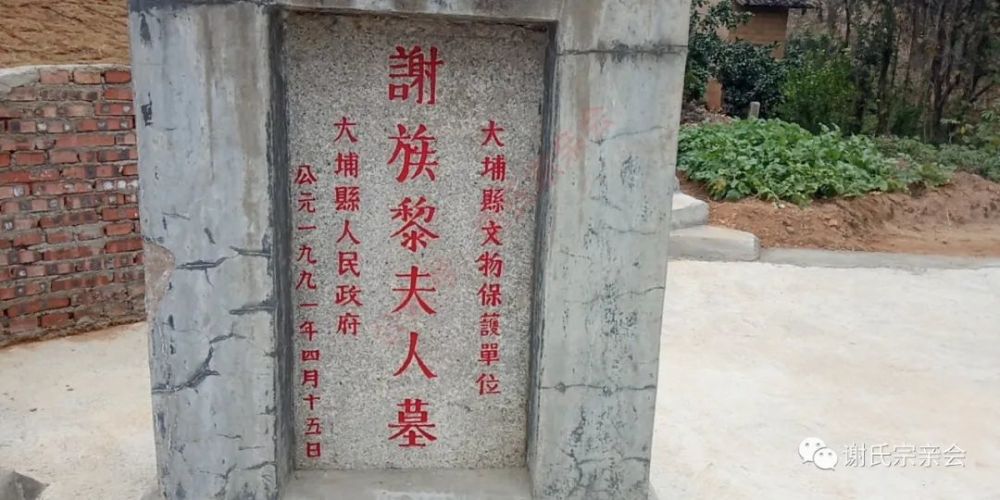 梅州大埔谢氏宗亲前往重修后的谢族黎婆太墓圆坟_深圳热线