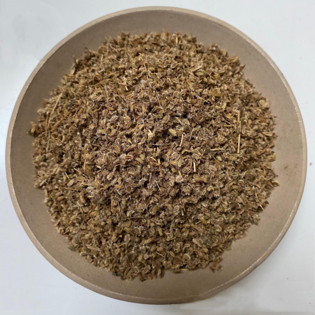 每天学一味中药南鹤虱